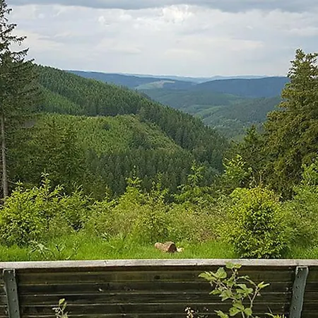 Ferienhaus Astenblick - Ideal Fuer Weihnachtsfeiern Und Familienfeiern Bietet Schlafplaetze Fuer Bis Zu 35 Personen * Winterberg
