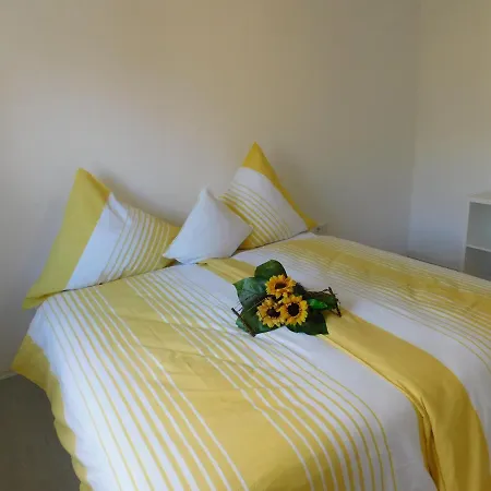 Ferienhaus Astenblick - Ideal Fuer Weihnachtsfeiern Und Familienfeiern Bietet Schlafplaetze Fuer Bis Zu 35 Personen Winterberg