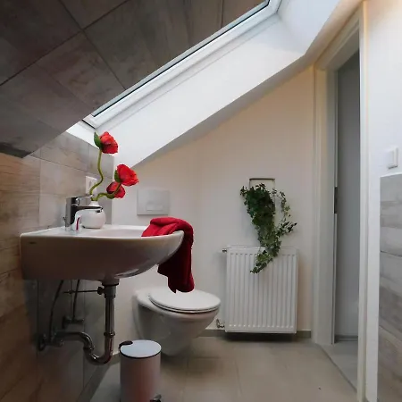 Ferienhaus Astenblick - Ideal Fuer Weihnachtsfeiern Und Familienfeiern Bietet Schlafplaetze Fuer Bis Zu 35 Personen